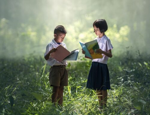 Faites-les lire ! de Michel Desmurget : mon avis sur ce livre qui met en avant la lecture